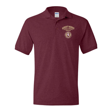 Robert Morris College IL LG Alumni Polo