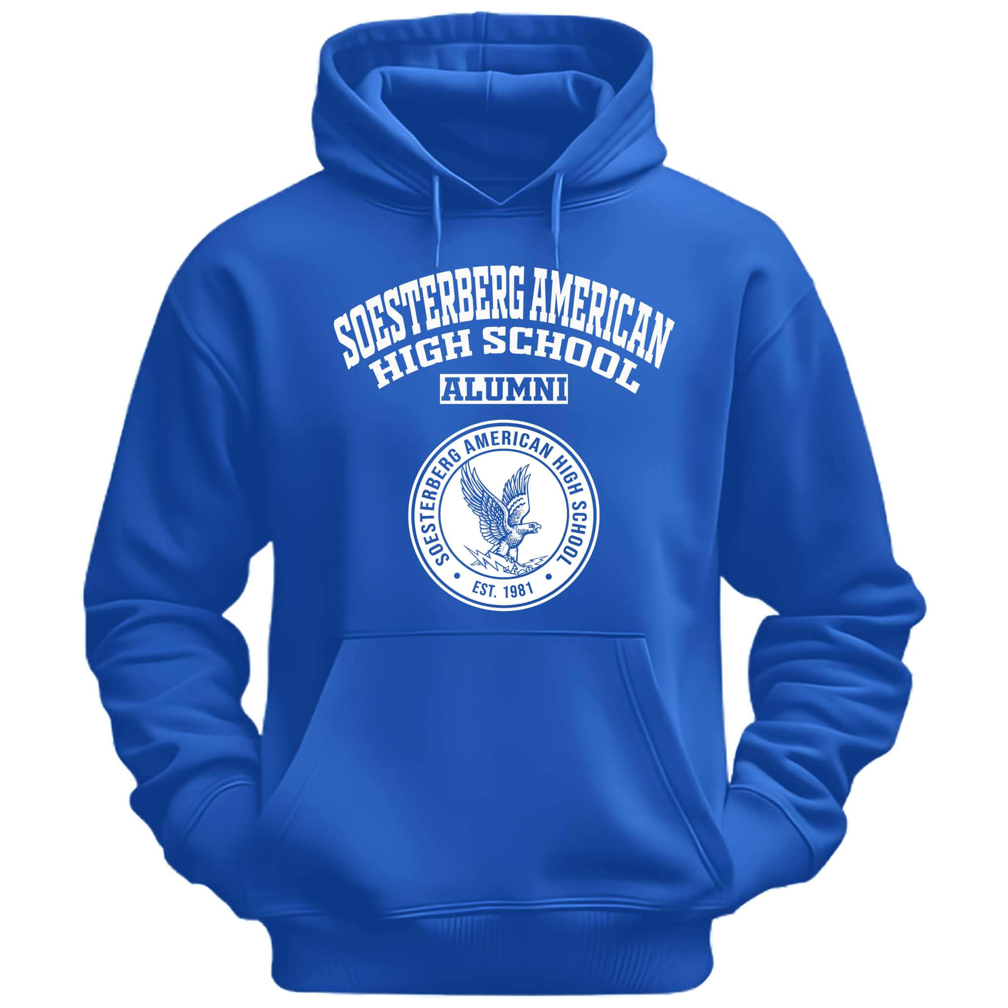 Soesterberg American High School Falcons Netherlands LG