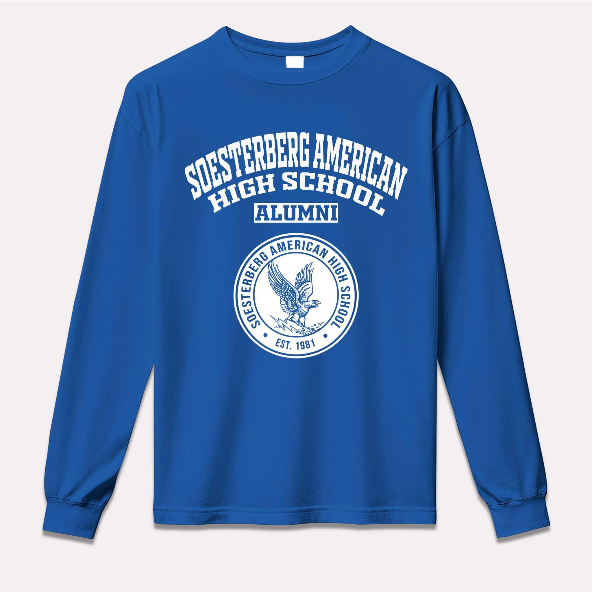 Soesterberg American High School Falcons Netherlands LG