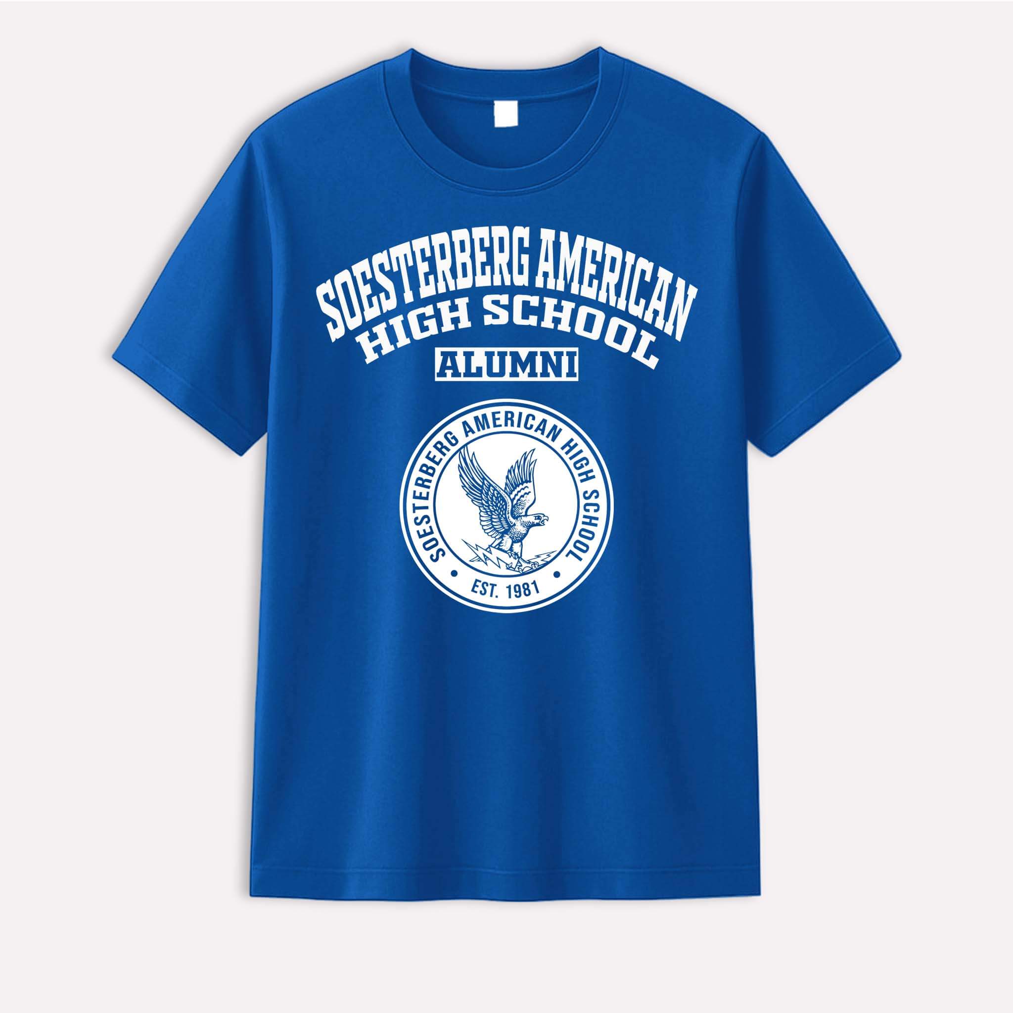 Soesterberg American High School Falcons Netherlands LG