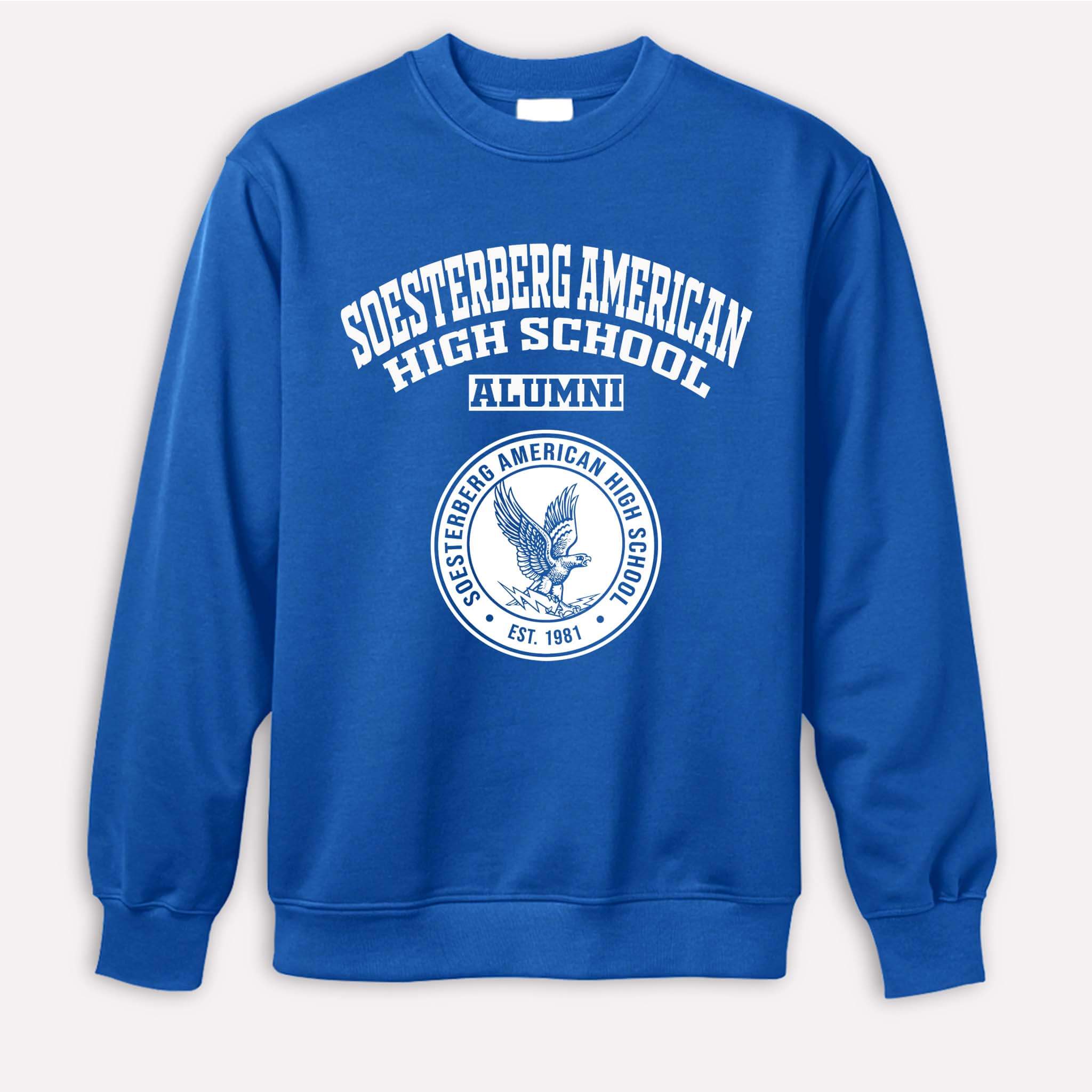 Soesterberg American High School Falcons Netherlands LG