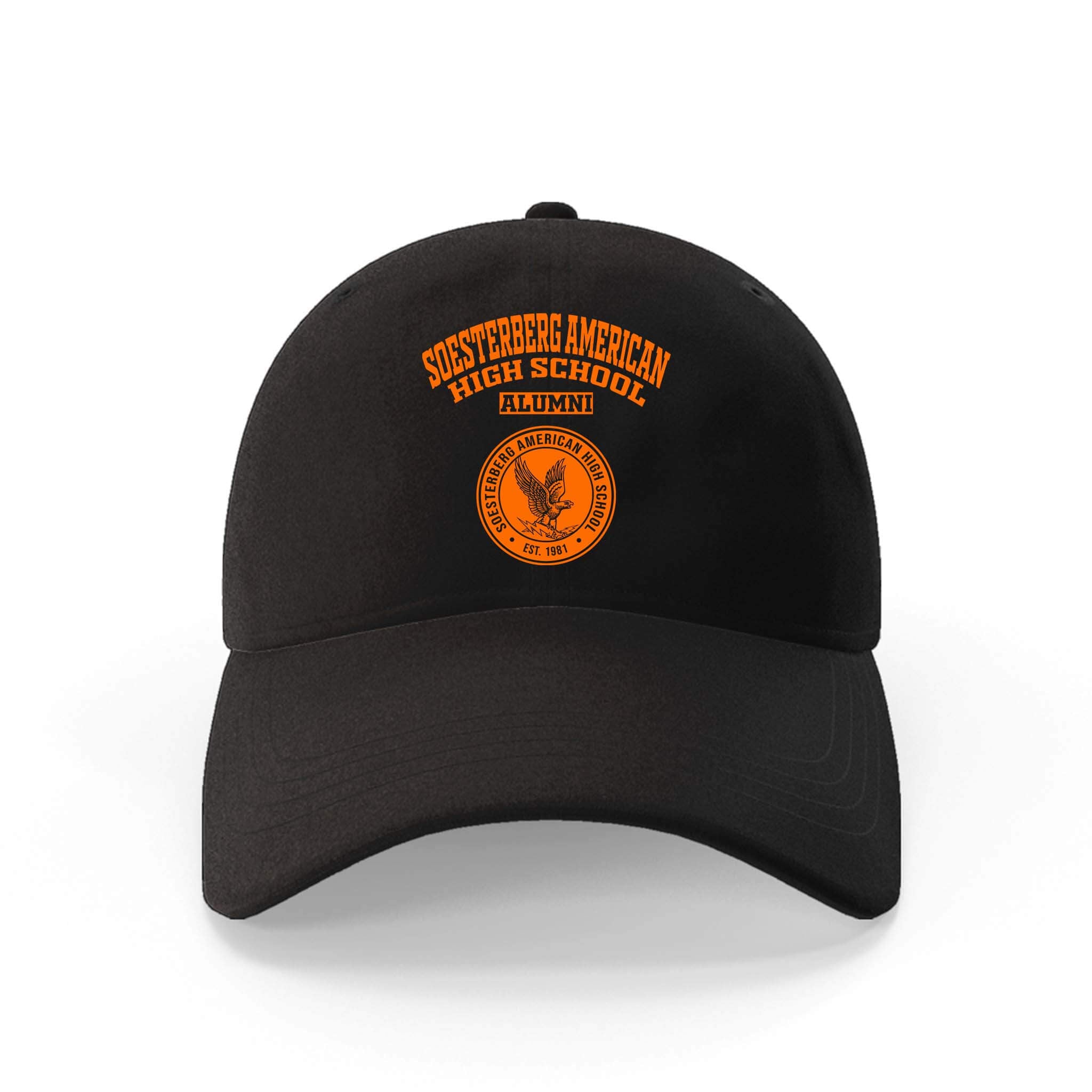 Soesterberg American High School Falcons Netherlands LG 1