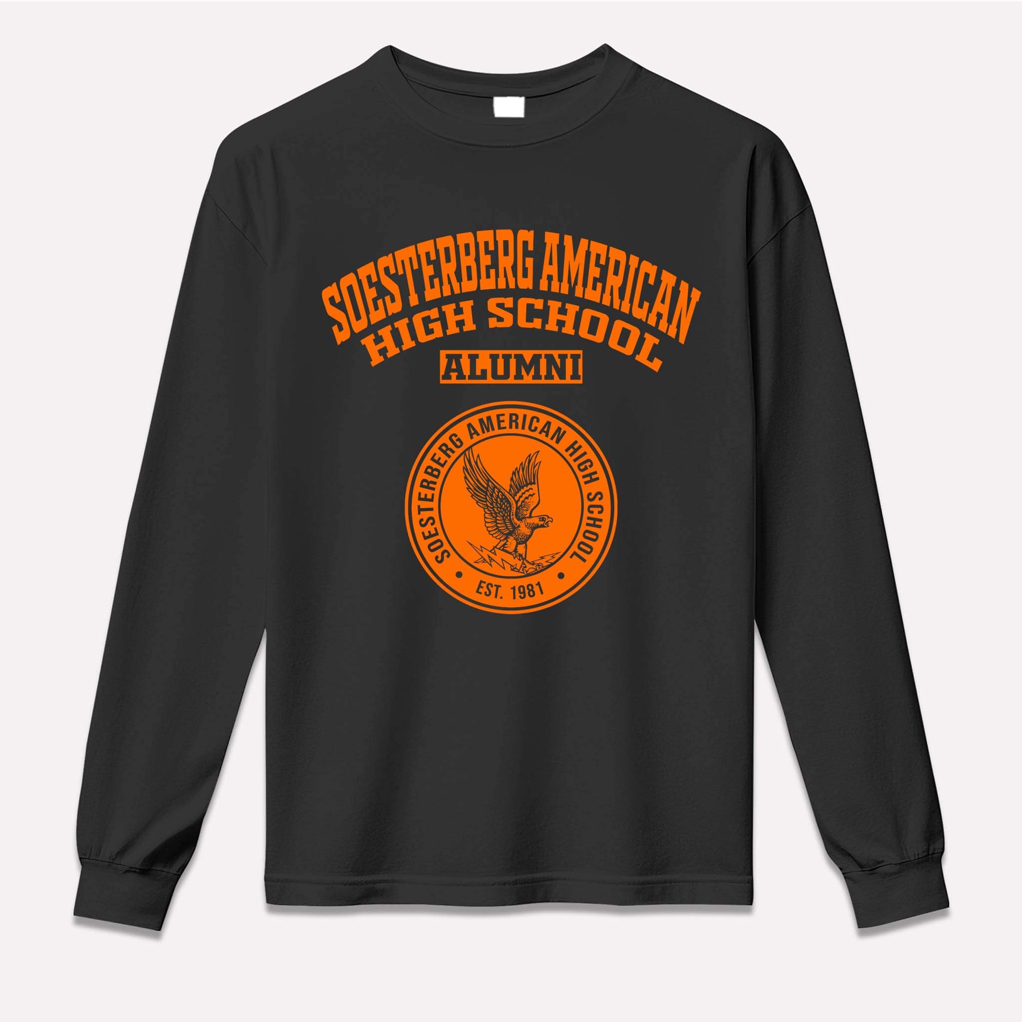 Soesterberg American High School Falcons Netherlands LG 1