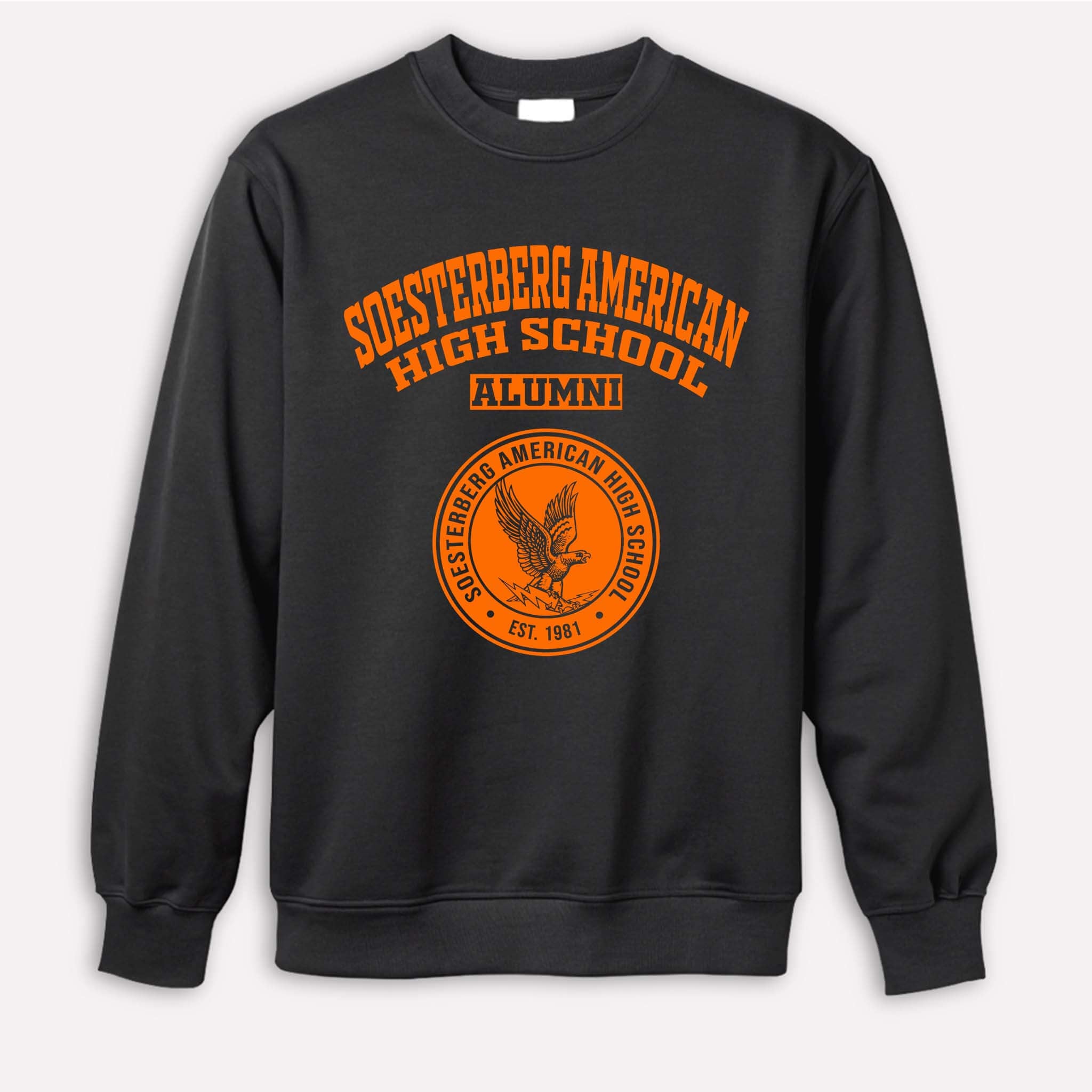 Soesterberg American High School Falcons Netherlands LG 1