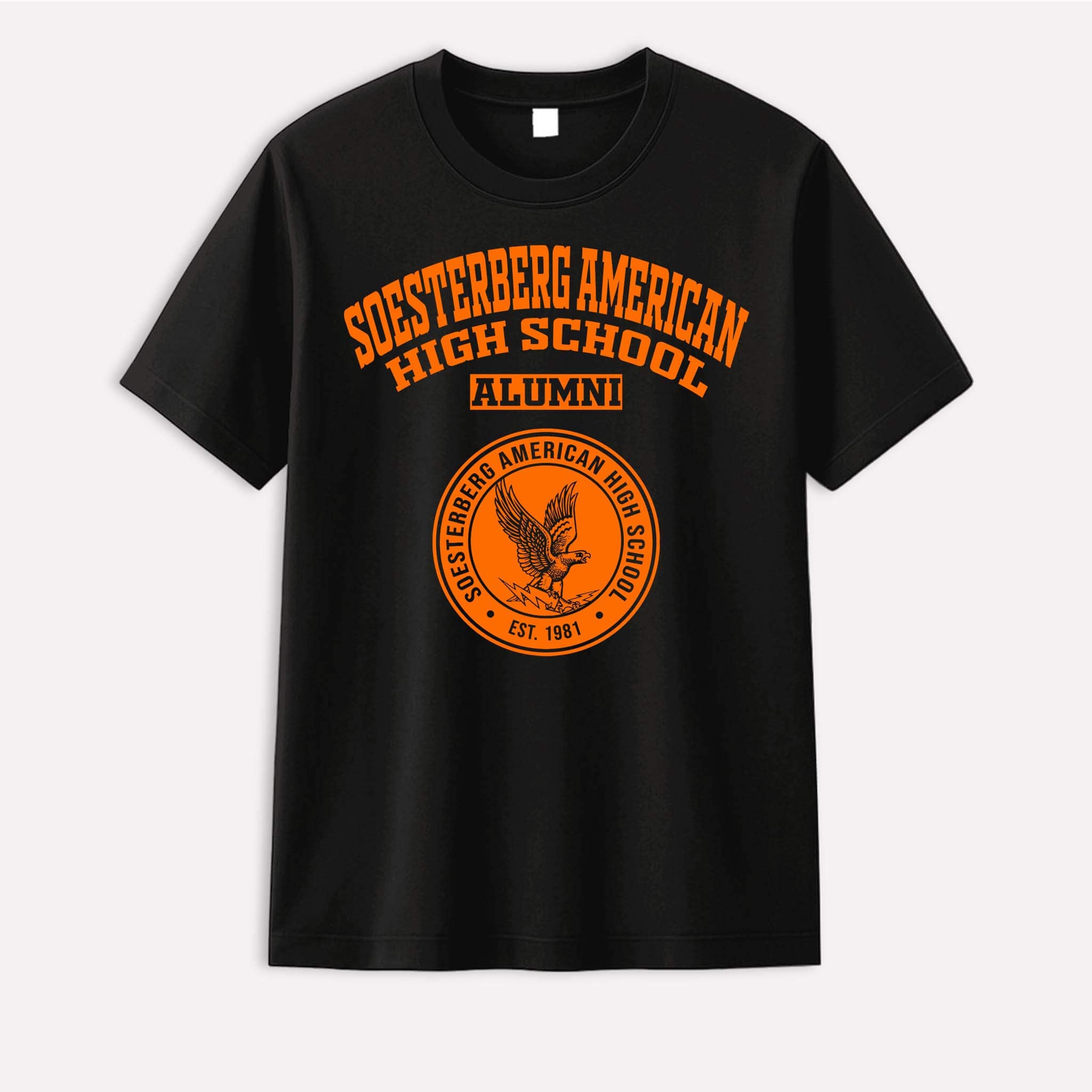 Soesterberg American High School Falcons Netherlands LG 1